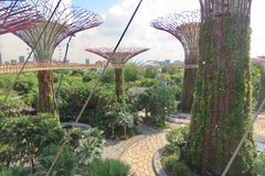 singapore1109