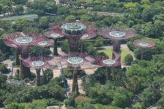 singapore1129