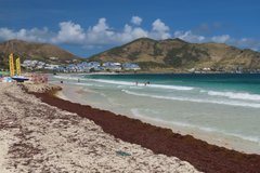 sint-maarten1102