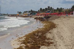sint-maarten1114