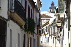 spanje2809