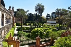spanje3651