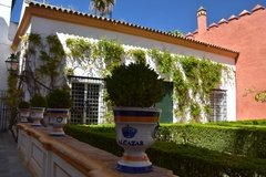 spanje3654
