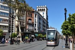 spanje3676