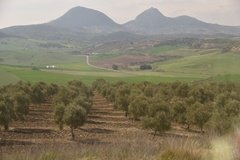 spanje3755