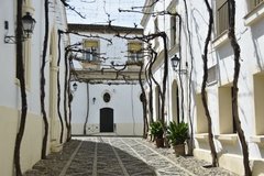 spanje4039
