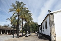 spanje4043