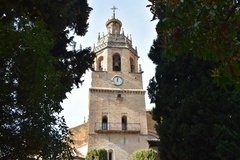 spanje4795