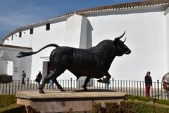 spanje4806