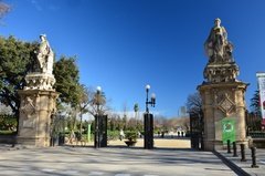 spanje1008.jpg