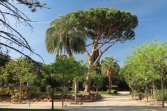 spanje5209