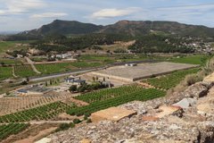 spanje5555