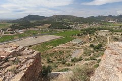 spanje5575
