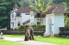 sri-lanka1004