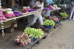sri-lanka1071