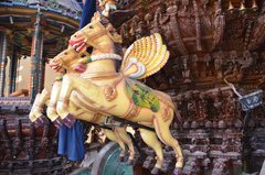 sri-lanka1121