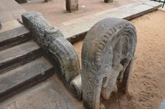 sri-lanka2214