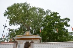 sri-lanka2226