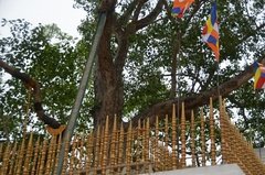 sri-lanka2227