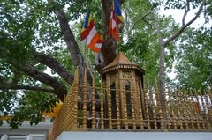 sri-lanka2229