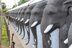 sri-lanka2242