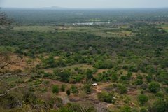 sri-lanka2431