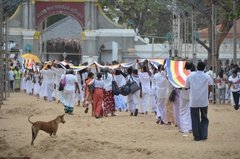 sri-lanka2808