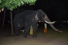 sri-lanka2846