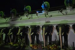 sri-lanka2849