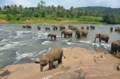 sri-lanka4001