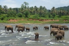 sri-lanka4003