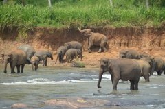 sri-lanka4010