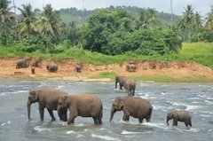 sri-lanka4011