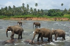 sri-lanka4012