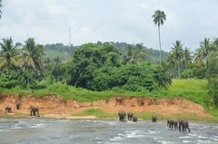 sri-lanka4014