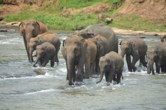 sri-lanka4015