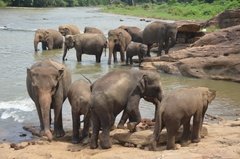 sri-lanka4016