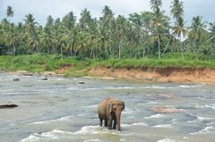 sri-lanka4019