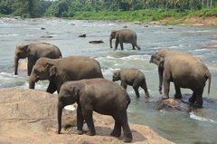 sri-lanka4021
