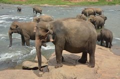 sri-lanka4022