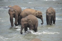 sri-lanka4023