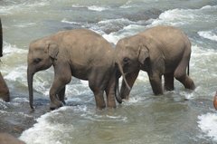 sri-lanka4025