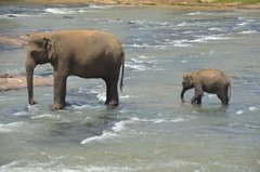 sri-lanka4027