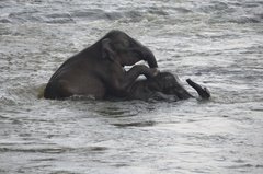 sri-lanka4031