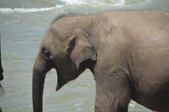 sri-lanka4032
