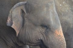 sri-lanka4033