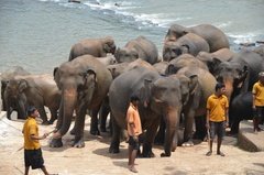 sri-lanka4035