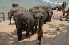 sri-lanka4036