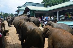 sri-lanka4040