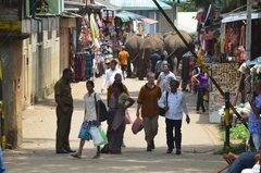 sri-lanka4044